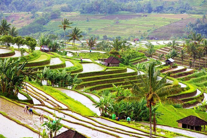 3N kuta + 2N ubud
