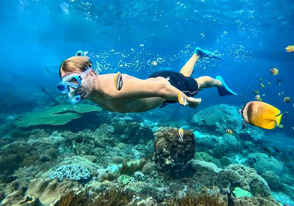 Day 2 Phi Phi Island Tour