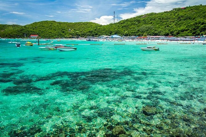 4N Pattaya tour package (3 ★hotel )