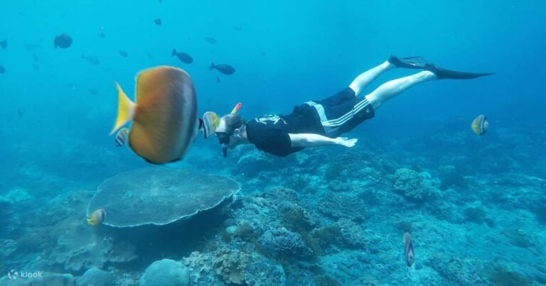 Day 3 FD Nusa Penida West tour (PRIVATE )