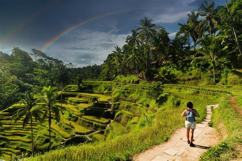 Day 4 Kintamani & Bali Jungle Swing Tour