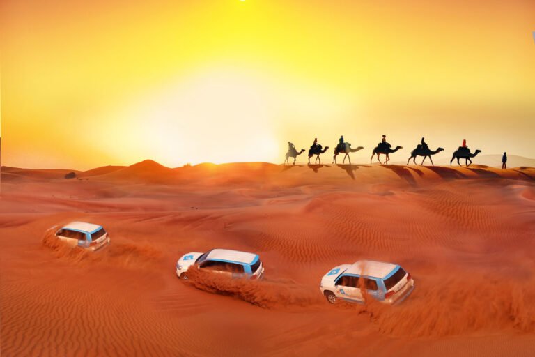 Day 2 City & Desert Adventure