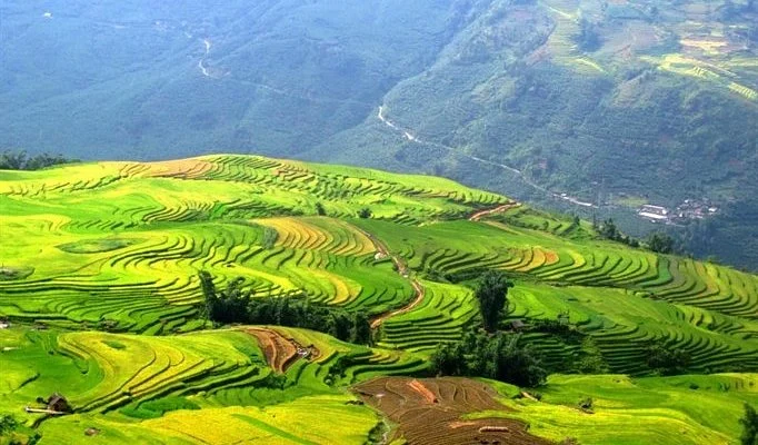 3N Danang + 2N Hanoi + 2N Sapa ( 3★ Hotel )