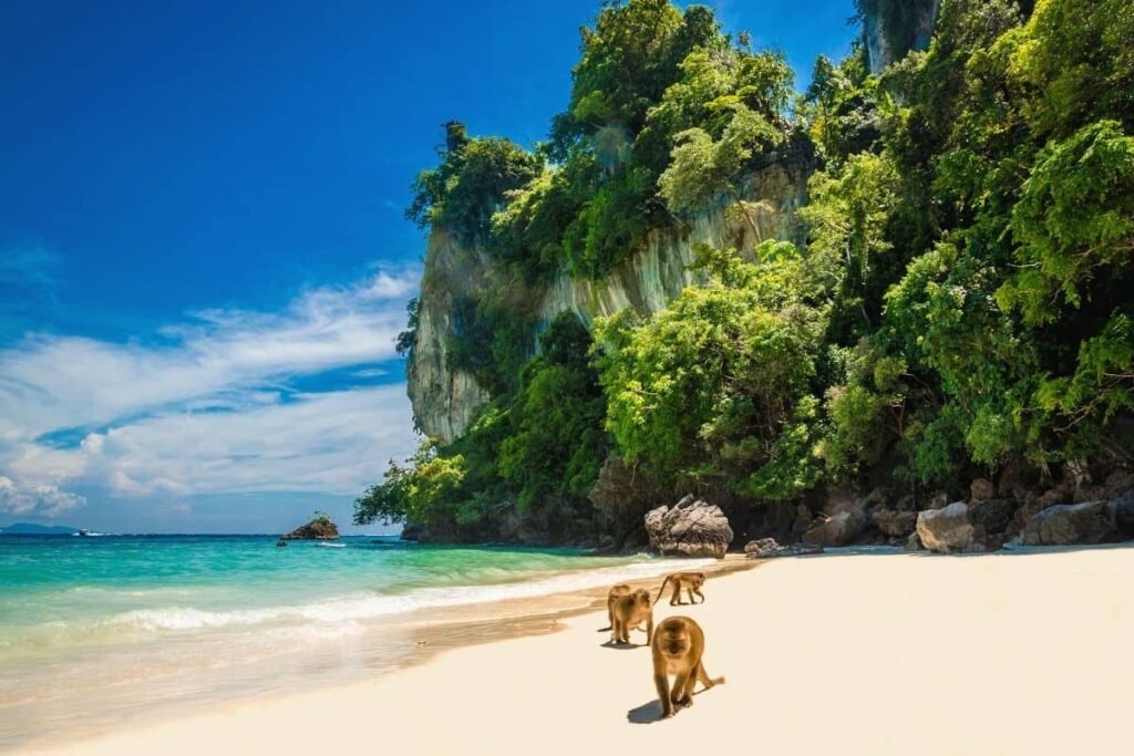 Day 2 Coral Island Tour