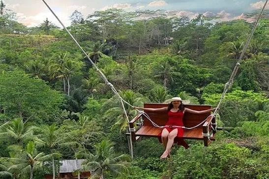 Day 3 BALI JUNGLE SWING