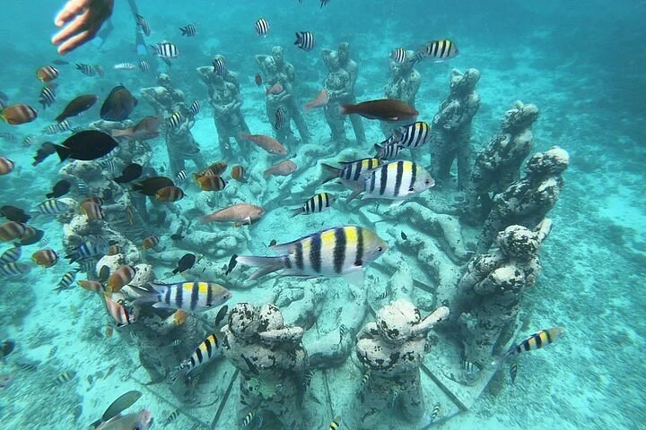 Day 6 Gili Trawangan Snorkelling Tour