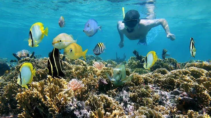 Day 6 Gili Trawangan Snorkelling
