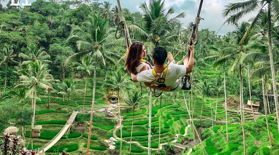 Day 4 Kintamani & Bali Jungle Swing Tour